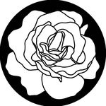 Helen Fleming Art and Design - @helenflemingdesign - Instagram