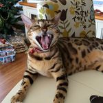 Helenflem - @helen.fleming1 - Instagram