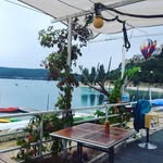 Helen Fogle - @minurejardin - Instagram