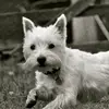 Helen Frith - @helen.frith6 - TikTok