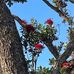 Helen Frith Harcombe - Facebook