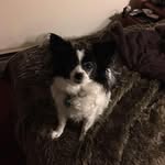 Helen Gladden Crocco - @helengladdencrocco - Instagram