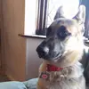Helen Glenn - @helen.glenn - TikTok