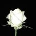 Helen A. Greer - Facebook