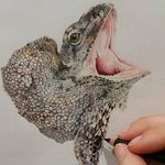 Helen Grey - @helen_grey_artandscience - Instagram