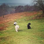 Helen Hackett - @helen.hackett.10 - Instagram