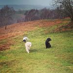 Helen Hackett - @helen.hackett.10 - Instagram