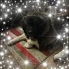 helenhaddock956 - @helenhaddock956 - TikTok