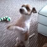 Helen Hadfield - @helenhadfield - Instagram