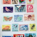 Helen Hadfield - @postcards_from_aloysius - Instagram