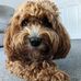 Helen Hadfield - Facebook