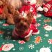 Helen Hager - Facebook