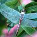 Helen Hager - Facebook