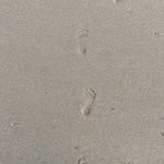 Helen Hamblin - @hamblin771 - Instagram