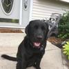 Helen Hamill - @helen.hamill - TikTok