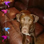 Helen Harrell - Facebook