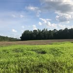 Helen Harrell - @the_harrell_homestead - Instagram