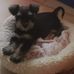 Helen Healy - Facebook