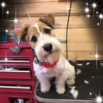 Helen Heggie - @heggie751 - Instagram