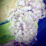 Helen heggie - @heggie04 - Instagram