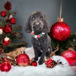Helen Hindle - @mammabearbury - Instagram