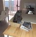 Helen Hocking - Facebook