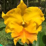 Helen Holley - @holley572 - Instagram