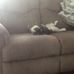 Helen Holtz - Facebook
