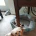 Helen Hooks - Facebook