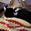 TreblesAndTherapy 🧶 - @helenhooks - TikTok