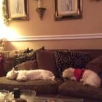 Helen Hooker - @helen.hooker - Instagram