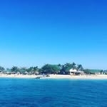 Helen Hooker - @tulips2tulips - Instagram