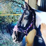 Helen Hubert - @i_love_chocol8 - Instagram