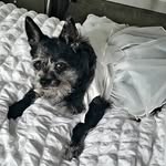 Helen Huckle - @yokojackchi - Instagram
