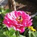 Helen Hutton - Facebook