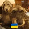 Helen Hutton - @helen.hutton7 - TikTok