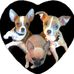 Helen Isaacson-Bash - Facebook