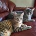 Helen Jacques - Facebook