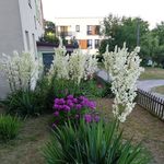 Helena Jaśkiewicz - @helenajaskiewicz - Instagram