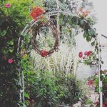 Helen Claassen Jefferies - @claassenjefferies - Instagram