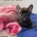 Helen Jefferies - @helen_jefferies - Instagram