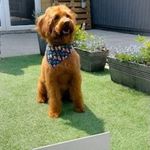 Helen Jefferies Sharland - @jefferiessharland - Instagram