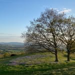 Helen Johnstone - @helenmjohnstone - Instagram