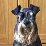 Helen Joiner - @khiahugo4848 - Instagram