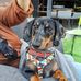 Helen Joubert - Facebook