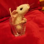 Helen Kendrick - @helenkendrickcraft - Instagram