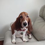 Helen Kerns - @kernshelen - Instagram