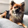 Helen Kessler - @helenandmissjuicy - TikTok