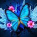 Helen Kimble - Facebook