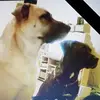 Helen Knight - @helen.knight - TikTok